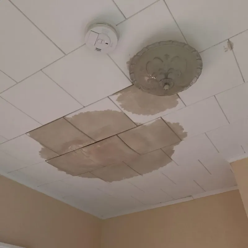 Ceiling Water Damage Repair in Imperial, PA