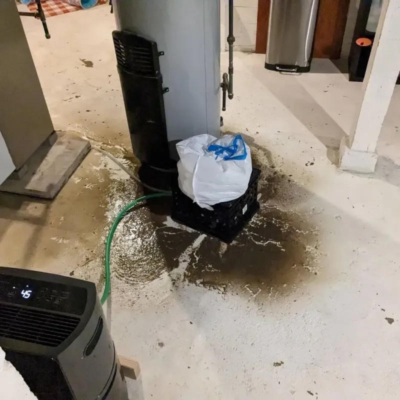 Sewage Backup Cleanup Service in Imperial, PA